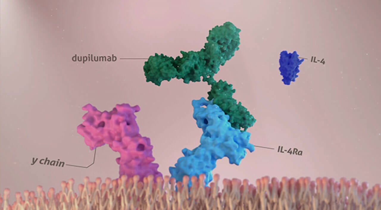 dupixent-dupilumab-mechanism-of-action-for-uncontrolled-moderate-to
